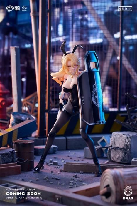 予約 送料無料 1/12 Sushiworks ラビット・ラピッド・レスポンス