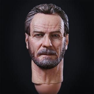 <img class='new_mark_img1' src='https://img.shop-pro.jp/img/new/icons1.gif' style='border:none;display:inline;margin:0px;padding:0px;width:auto;' />̵  1/6 TOYS BORN  TB001֥쥤󥰡Хå 륿 إå