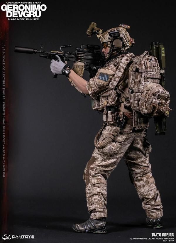 DML 1/6 SR-25 Mod.0 スナイパーライフル 狙撃銃 77029