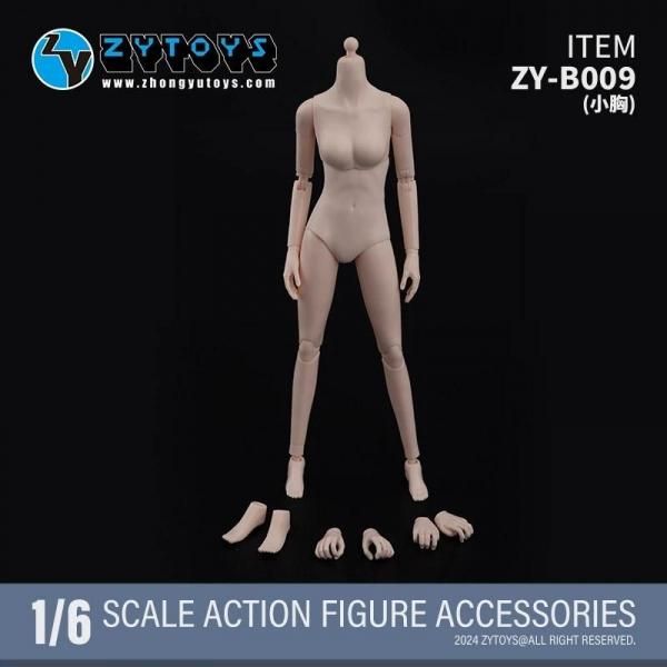 送料無料 1/6 ZYTOYS ZY-B008/B009 アジアン美人女性ボディ素体
