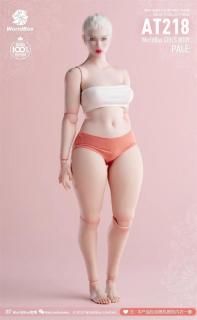 素体/ボディ （一部付属品含む） - 1/6フィギュアの通販、予約
