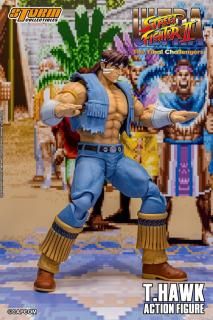 <img class='new_mark_img1' src='https://img.shop-pro.jp/img/new/icons1.gif' style='border:none;display:inline;margin:0px;padding:0px;width:auto;' />ͽ ̵ 1/12 Storm Toys CPSF31 ȥ꡼ȥե2 Tۡ  ե륻å