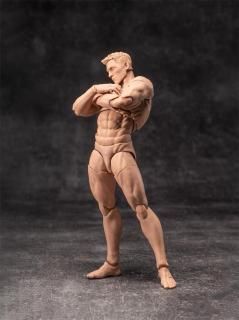 1/6シームレスフィギュア5体 ほっか Amazon | HiPlay Worldbox 1/6 超可動 女性 半シームレス