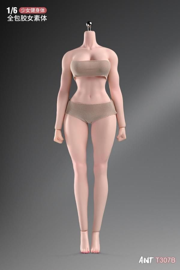 送料無料 1/6 ANT T307 肌化粧塗装済み版 フィットネス美少女体型 美人