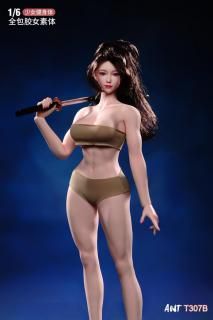 送料無料 1/6 ANT   T307 肌化粧塗装済み版 フィットネス美少女体型   美人女性素体シームレスボディ