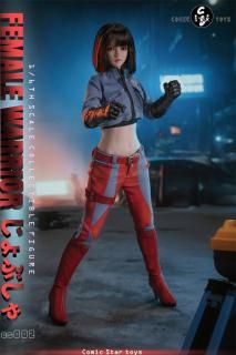 <img class='new_mark_img1' src='https://img.shop-pro.jp/img/new/icons1.gif' style='border:none;display:inline;margin:0px;padding:0px;width:auto;' />先行予約 価格未定 送料無料 1/6 Comic Star Toys  cs001 姉妹女戦士 アジアン美人女性フルセット