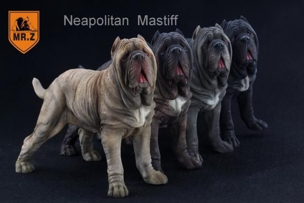 1 6 Mr Z イタリア 闘犬用 警察犬 ナポリタン マスティフ Neapolitan Mastiff 1 6フィギュアの通販 予約なら トイザキュート