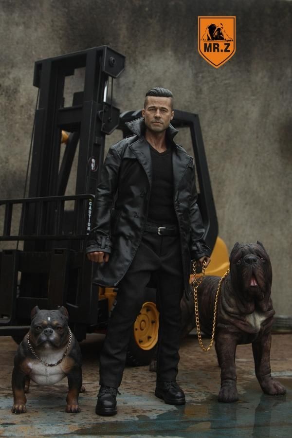 1/6 Mr.Z イタリア 闘犬用 警察犬 ナポリタン・マスティフ
