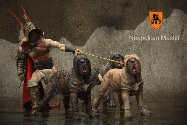 1/6 Mr.Z イタリア 闘犬用 警察犬 ナポリタン・マスティフ