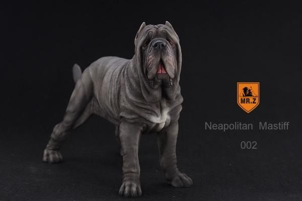 Mr.Z　1/6 ナポリタン・マスティス 動物 置物 フィギュア 002 フィギュア専門店 -ソダチトイズ / Mr.Z 1/6 ナポリタン