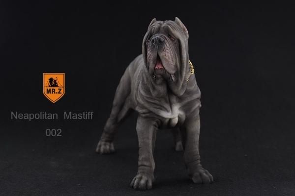 1/6 Mr.Z イタリア 闘犬用 警察犬 ナポリタン・マスティフ