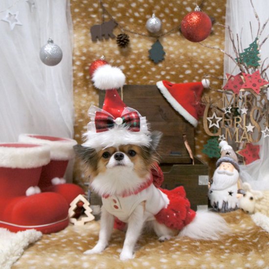 クリスマスハット☆犬用パーティーグッズ【ドッグウェアならene