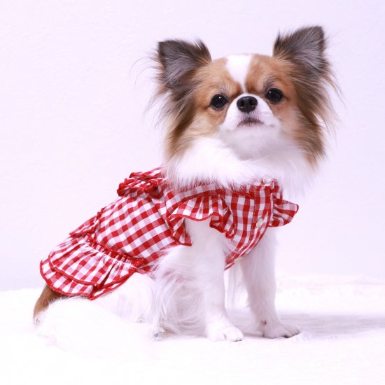 【オーダーページ】犬服　赤ギンガム　ショルダーフリルのエプロン付ティアードハンドメイド