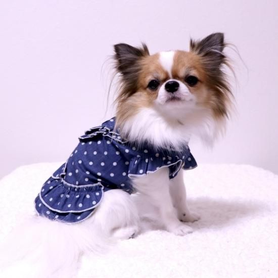 楽天市場】犬服 犬の服 春夏 ドット柄フリルブラウス 服 犬洋服