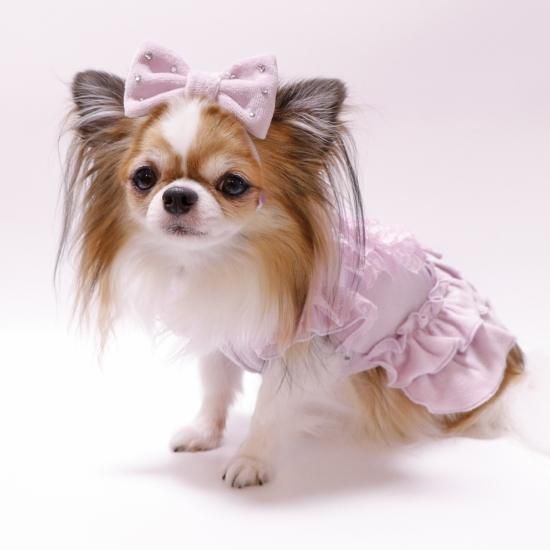 ベロアお揃いカチューシャ＆バレッタ - ドッグウェア・犬服の