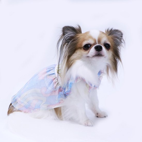 マーブルペイズリーワンピース - ドッグウェア・犬服の通販のene☆