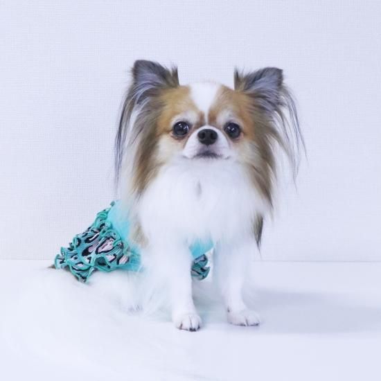 レオパードニコちゃんワンピース - ドッグウェア・犬服の通販のene☆