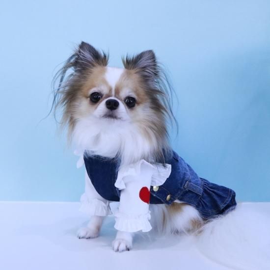 No.13 ハンドメイド犬服 デニムジャンスカ