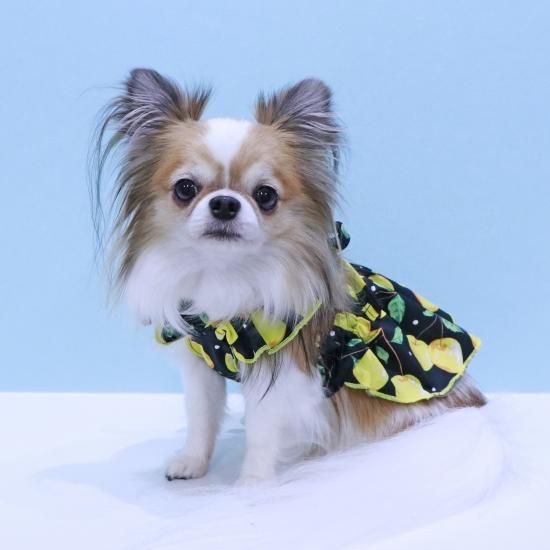 sparkling dog スパークリングドッグ　チェリーワンピ sparkling dog スパークリングドッグ チェリーワンピ