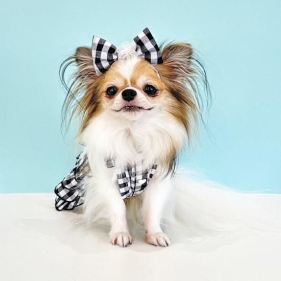 新作　ギンガムチェックデカリボンワンピース　超小型犬さんのみ見本 新作 ギンガムチェックデカリボンワンピース 超小型犬さんのみ見本