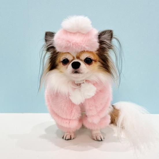 ファーベレー帽＆ケープセット - ドッグウェア・犬服の通販のene☆