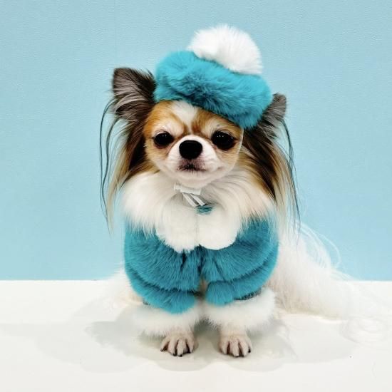 ファーベレー帽＆ケープセット - ドッグウェア・犬服の通販のene☆