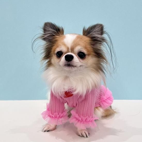 犬服・アクセサリー pink hawaii 犬服・アクセサリー pink hawaii 犬服・アクセサリー pink hawaii