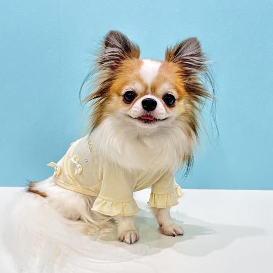 犬服ハンドメイド　リボンロンパ リボンロンTEE - ドッグウェア・犬服の通販のene☆