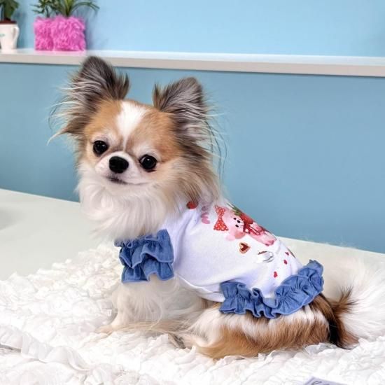 【オーダー】紅いちご×デニムフリルスカートのセットイントレーナー犬服 いちごくまちゃんTEE - ドッグウェア・犬服の通販のene☆