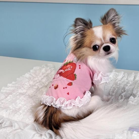 いちごくまちゃんTEE（NEWカラー） - ドッグウェア・犬服の通販のene☆