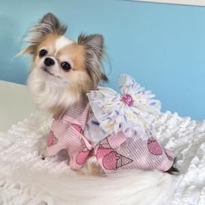 <img class='new_mark_img1' src='https://img.shop-pro.jp/img/new/icons13.gif' style='border:none;display:inline;margin:0px;padding:0px;width:auto;' />꡼