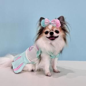 犬服・アクセサリー kr18e_m Amazon | リアル 犬服 小型犬 服 歌舞伎 Tシャツ 隈取 Tee