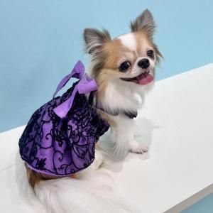 カート用ティアードフリルクッション - ドッグウェア・犬服の