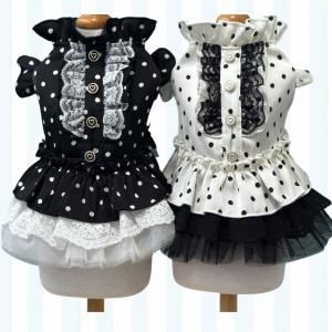 <img class='new_mark_img1' src='https://img.shop-pro.jp/img/new/icons13.gif' style='border:none;display:inline;margin:0px;padding:0px;width:auto;' />ץ쥷㥹ɥåȥԡ