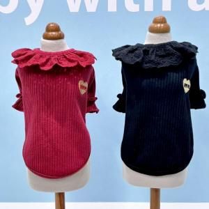 <img class='new_mark_img1' src='https://img.shop-pro.jp/img/new/icons13.gif' style='border:none;display:inline;margin:0px;padding:0px;width:auto;' />졼ߥTEE