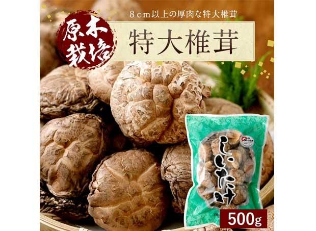 特大 椎茸 500g - 大分県産乾しいたけの茂里商店
