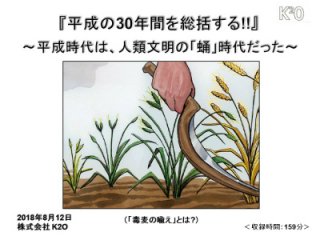 【新井信介講演会：『平成の30年間を総括する!!』DVD】（2018年8月12日開催）