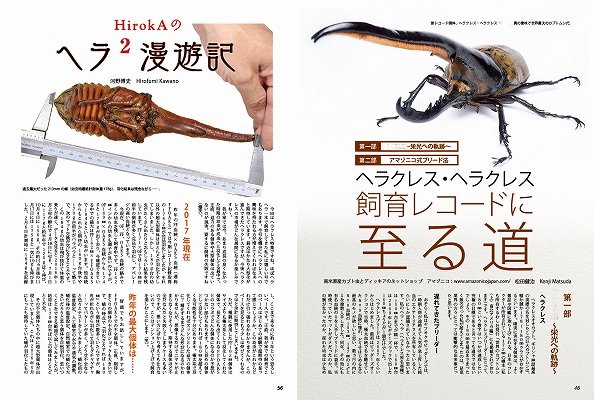 BE KUWA ビークワ No.63□ヘラクレスオオカブト大特集｜最新情報満載大