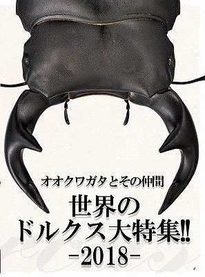 2018KLB美形コンテスト結果発表 - 久留米限定バトル(KLB