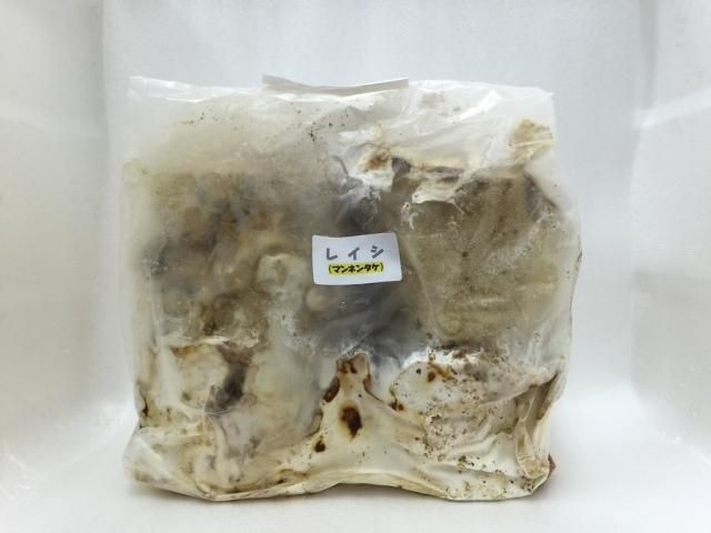 人工霊芝材L×2 - 昆虫ショップ ヘラクレスの里