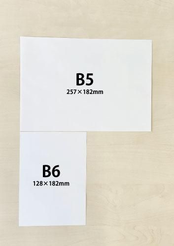 紙モノまとめ売り☆B☆100サイズ img59720118.jpg