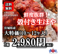 宮城のうまいもの発信 いしのまき元気いちばonlineshop 宮城のうまいもの発信 いしのまき元気いちばonlineshop