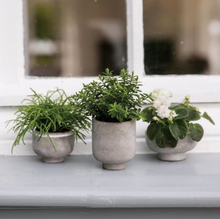 ADERmni  flower  pots
