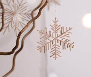 <img class='new_mark_img1' src='https://img.shop-pro.jp/img/new/icons14.gif' style='border:none;display:inline;margin:0px;padding:0px;width:auto;' />RADERIce & Snow wooden Ornament medium