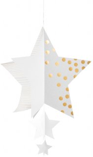 <img class='new_mark_img1' src='https://img.shop-pro.jp/img/new/icons14.gif' style='border:none;display:inline;margin:0px;padding:0px;width:auto;' />☆RADER　Star Ornament 3D