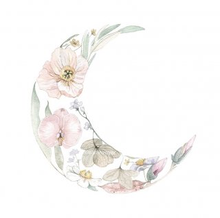 <img class='new_mark_img1' src='https://img.shop-pro.jp/img/new/icons14.gif' style='border:none;display:inline;margin:0px;padding:0px;width:auto;' />Flower Moon  Print   from  Hawaii
