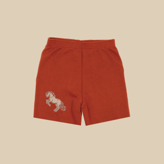 PREORDER Wild horse shorts (rust)FROM USA ※国内初入荷brand