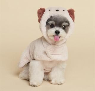 <img class='new_mark_img1' src='https://img.shop-pro.jp/img/new/icons14.gif' style='border:none;display:inline;margin:0px;padding:0px;width:auto;' />ڽBadugi Cape*  BEIGE&BROWN    ͥ   From  Korea