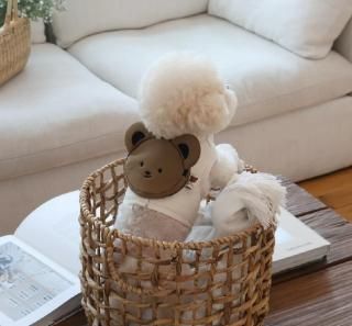 <img class='new_mark_img1' src='https://img.shop-pro.jp/img/new/icons14.gif' style='border:none;display:inline;margin:0px;padding:0px;width:auto;' />ڽ  Bag harness  Natural /  Brown Sͥ    From  Korea