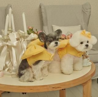 <img class='new_mark_img1' src='https://img.shop-pro.jp/img/new/icons14.gif' style='border:none;display:inline;margin:0px;padding:0px;width:auto;' />ڽ Heart Ribbon Harness_ Yellow Sͥ    From  Korea